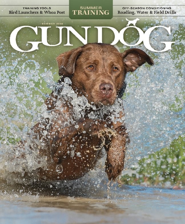 Gun-Dog June 01, 2025 Issue Cover
