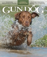 Gun-Dog June 01, 2025 Issue Cover