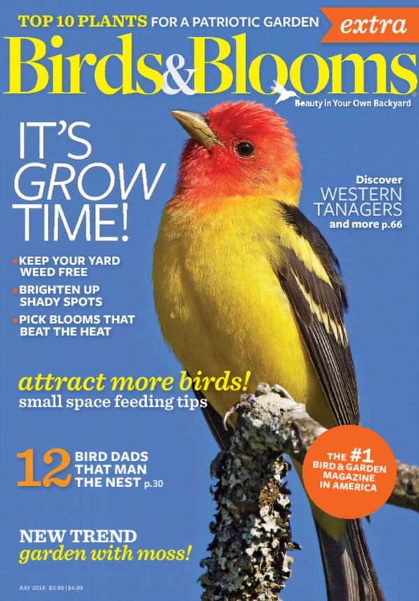 Birds-and-Blooms-Extra July 01, 2016 Issue Cover