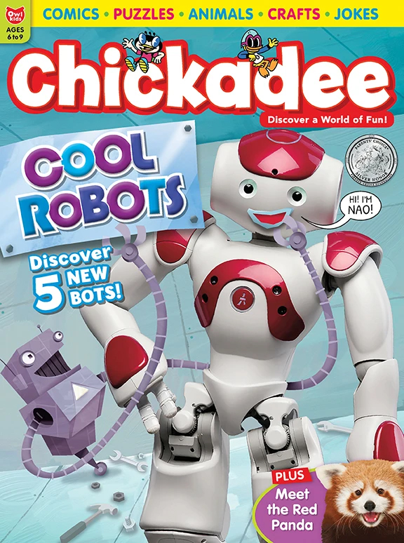 chickaDEE January 01, 2020 Issue Cover