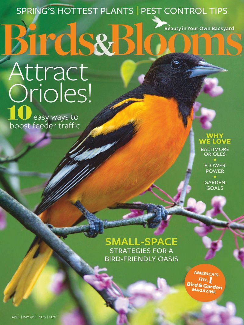 Birds-and-Blooms April 01, 2019 Issue Cover