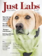 Just-Labs November 01, 2022 Issue Cover