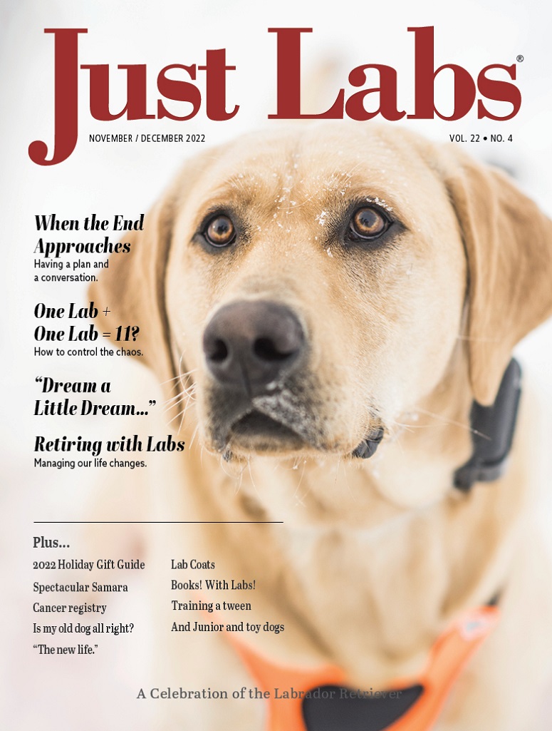 Just-Labs November 01, 2022 Issue Cover
