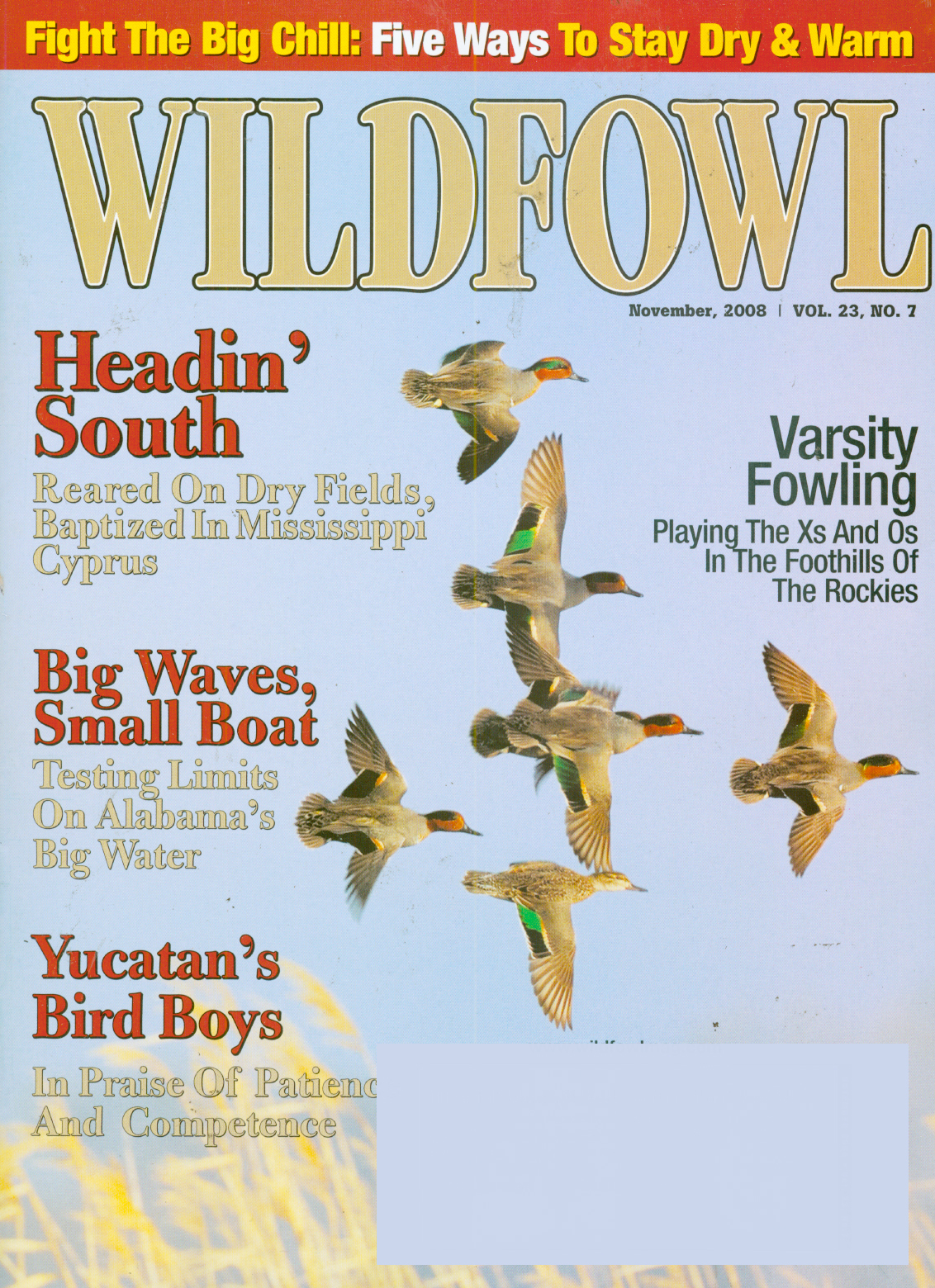 Wildfowl November 01, 2008 Issue Cover