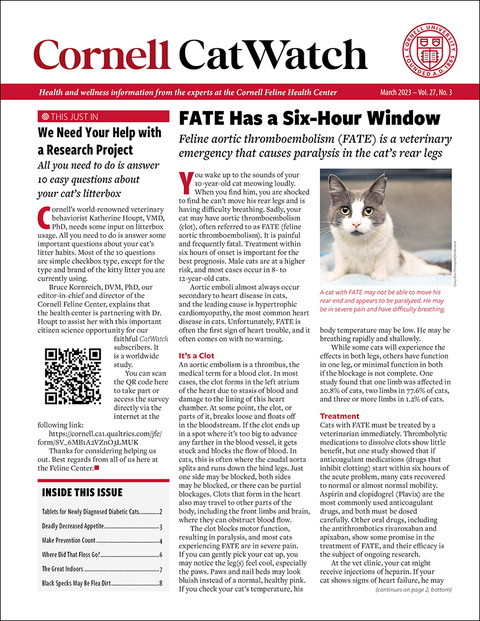 Catwatch March 01, 2023 Issue Cover