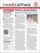 Catwatch March 01, 2023 Issue Cover