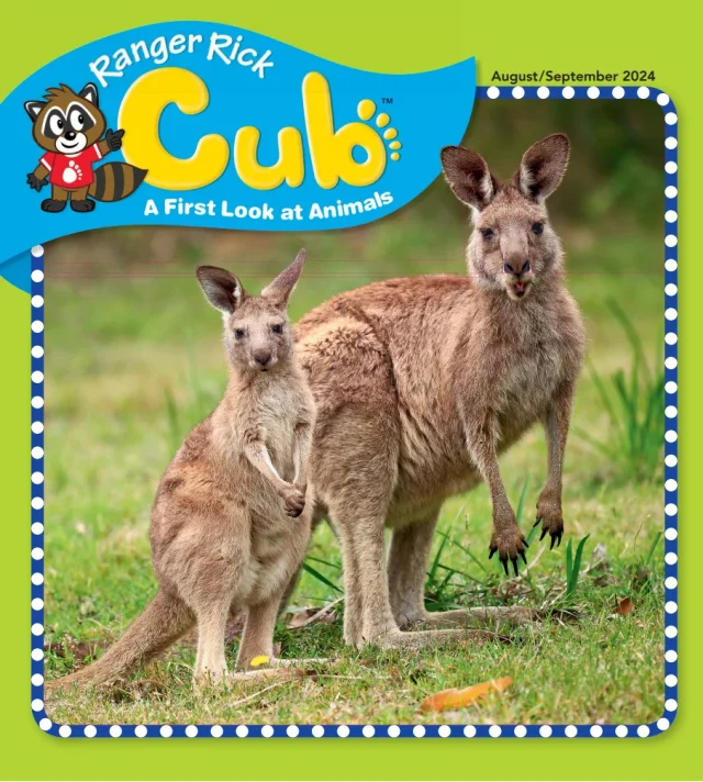 Ranger-Rick-Cub August 01, 2024 Issue Cover