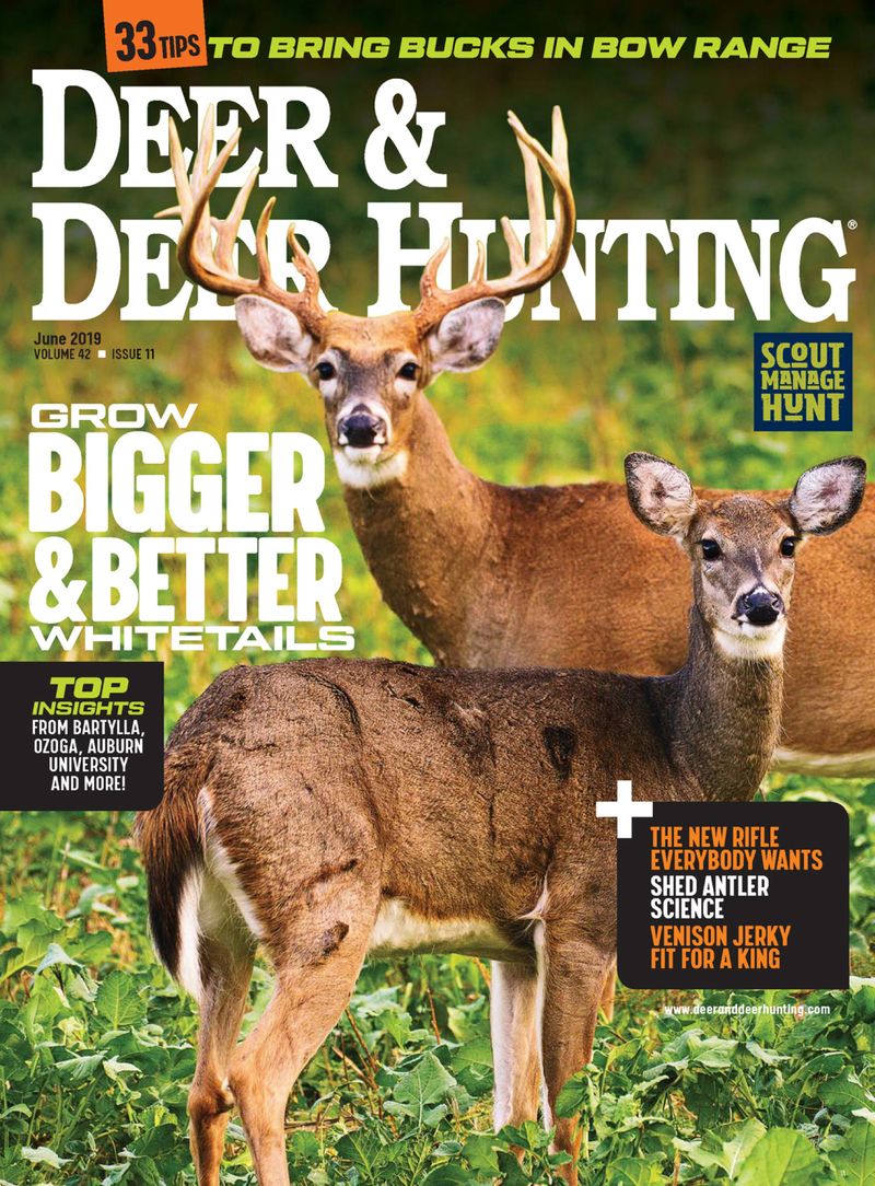 Deer-and-Deer-Hunting June 01, 2019 Issue Cover