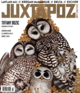 Juxtapoz March 01, 2016 Issue Cover