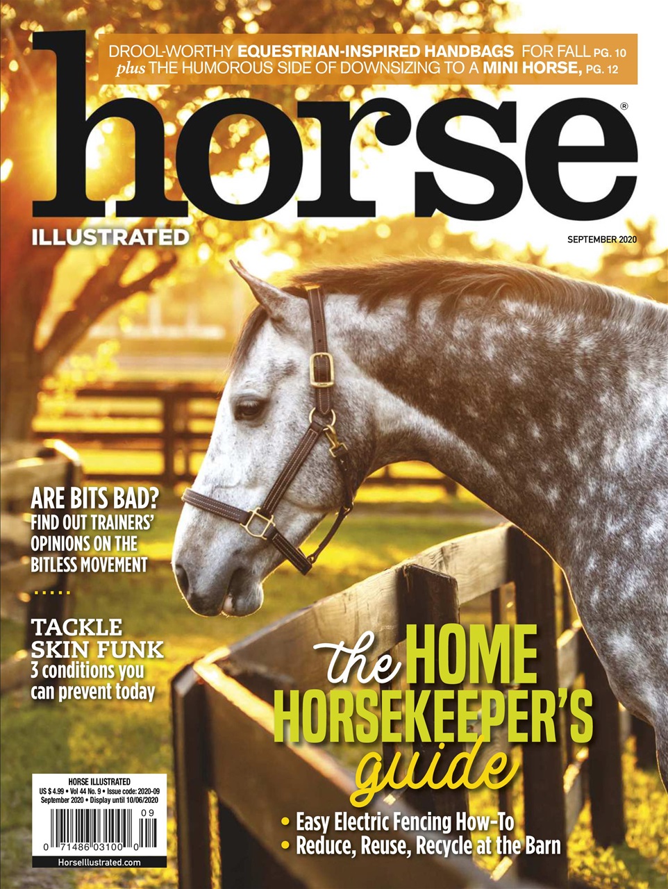 Horse-Illustrated September 01, 2020 Issue Cover