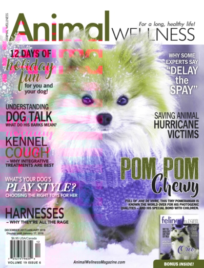 Animal Wellness December 01, 2017 Issue Cover