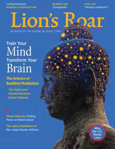 Lion's Roar January 01, 2018 Issue Cover