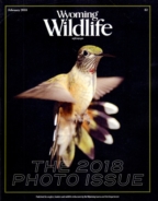 Wyoming-Wildlife February 01, 2018 Issue Cover