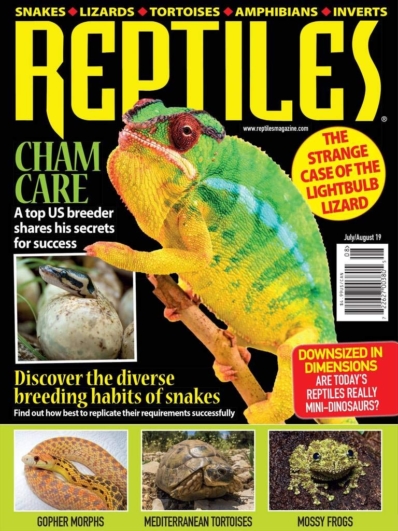 Reptiles July 01, 2019 Issue Cover