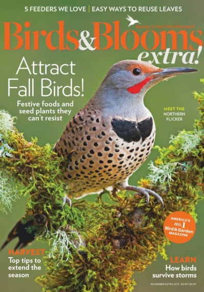 Birds & Blooms Extra November 01, 2019 Issue Cover