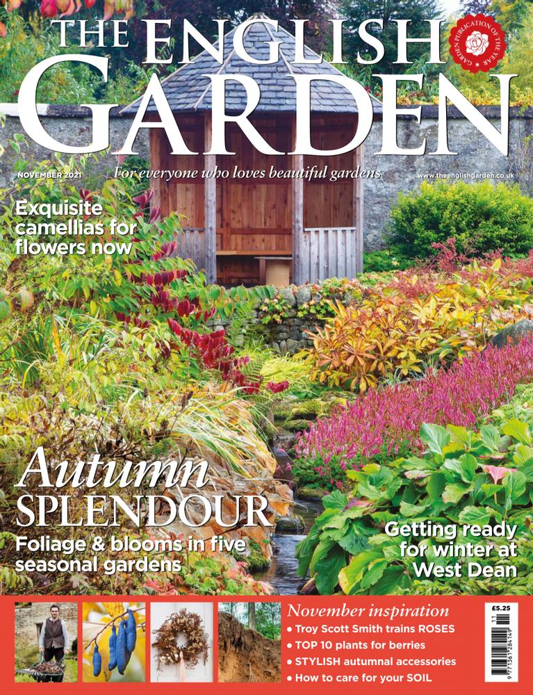 The-English-Garden November 01, 2021 Issue Cover