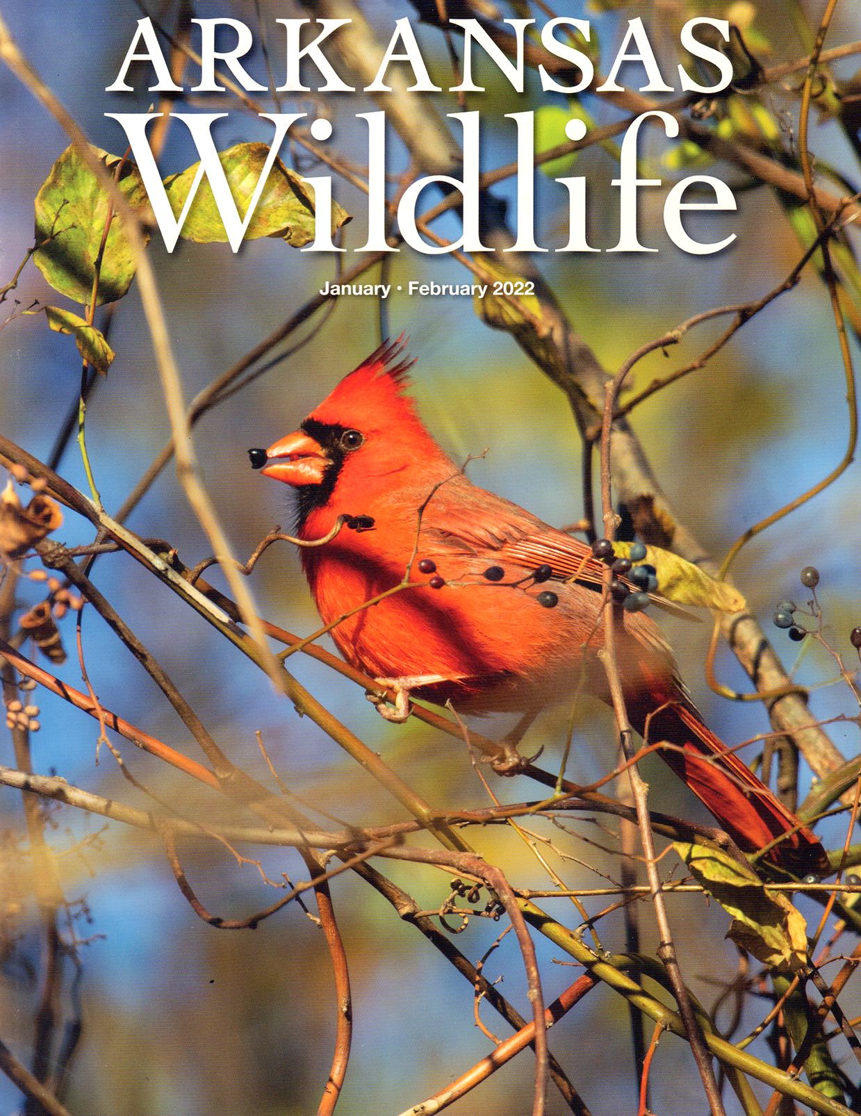 Arkansas-Wildlife January 01, 2022 Issue Cover
