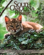 South-Carolina-Wildlife September 01, 2014 Issue Cover