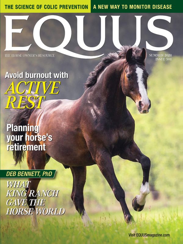 Equus June 01, 2020 Issue Cover
