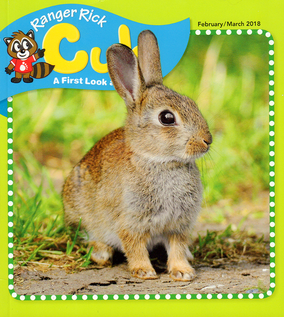 Ranger-Rick-Cub February 01, 2018 Issue Cover