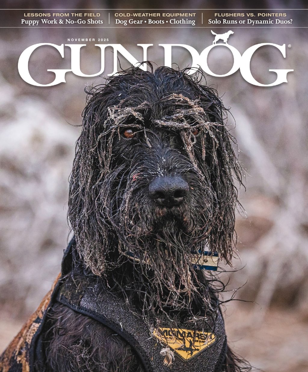 Gun-Dog November 01, 2025 Issue Cover