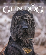 Gun-Dog November 01, 2025 Issue Cover