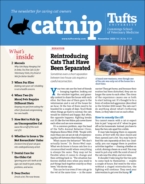 Catnip November 01, 2020 Issue Cover