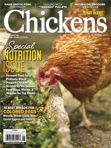 Chickens May 01, 2023 Issue Cover