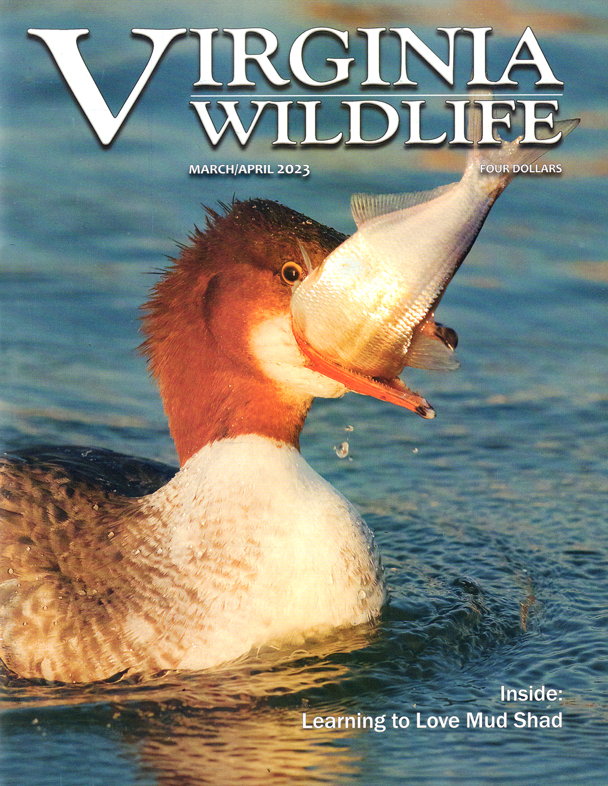 Virginia-Wildlife March 01, 2023 Issue Cover