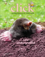 Click January 01, 2014 Issue Cover