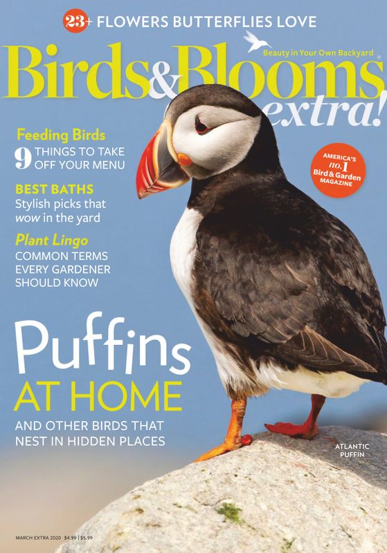 Birds-and-Blooms-Extra March 01, 2020 Issue Cover