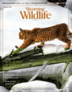 Wyoming-Wildlife January 01, 2015 Issue Cover