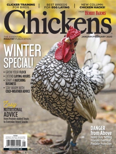 Chickens January 01, 2020 Issue Cover