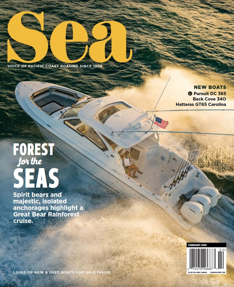 sea-magazine February 01, 2019 Issue Cover