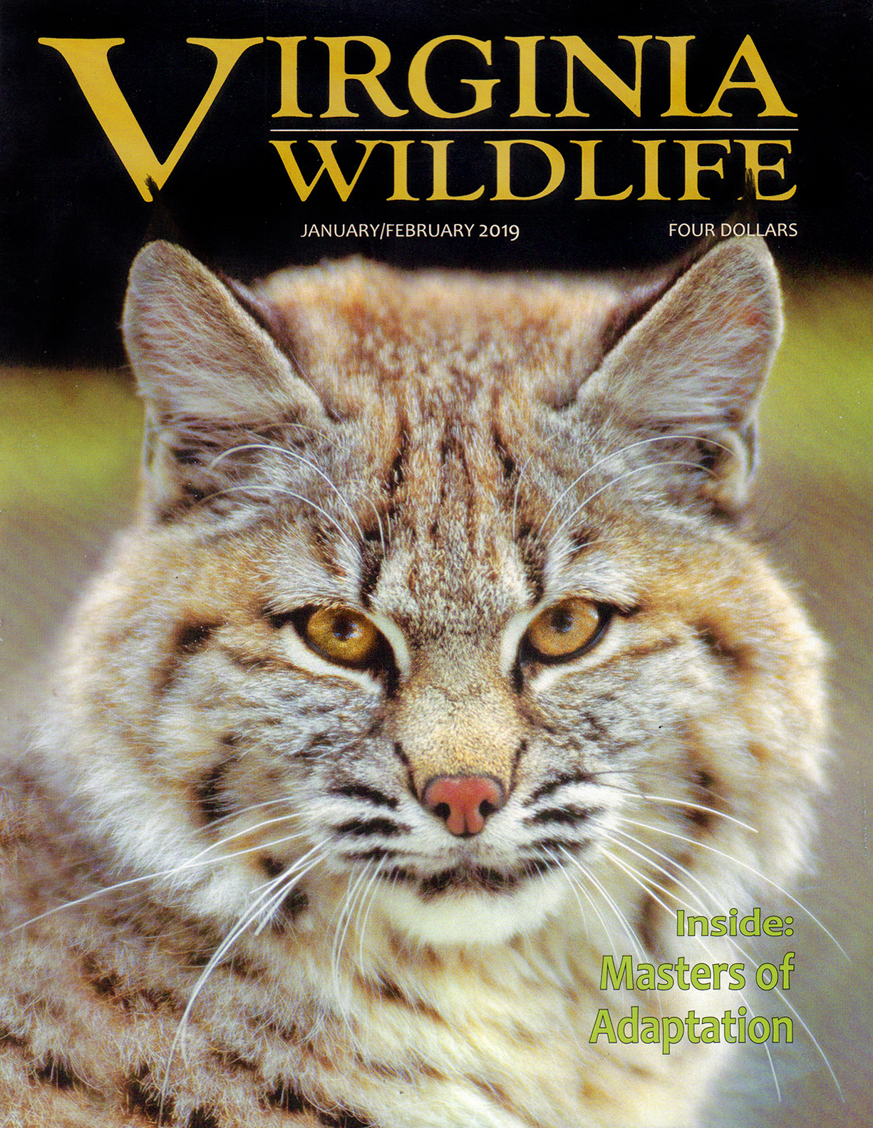 Virginia-Wildlife January 01, 2019 Issue Cover