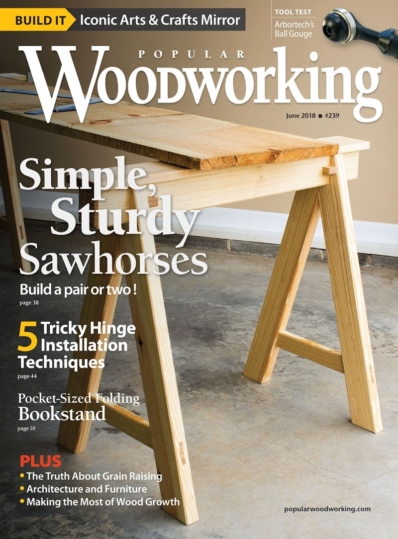 Popular Woodworking July 01, 2018 Issue Cover