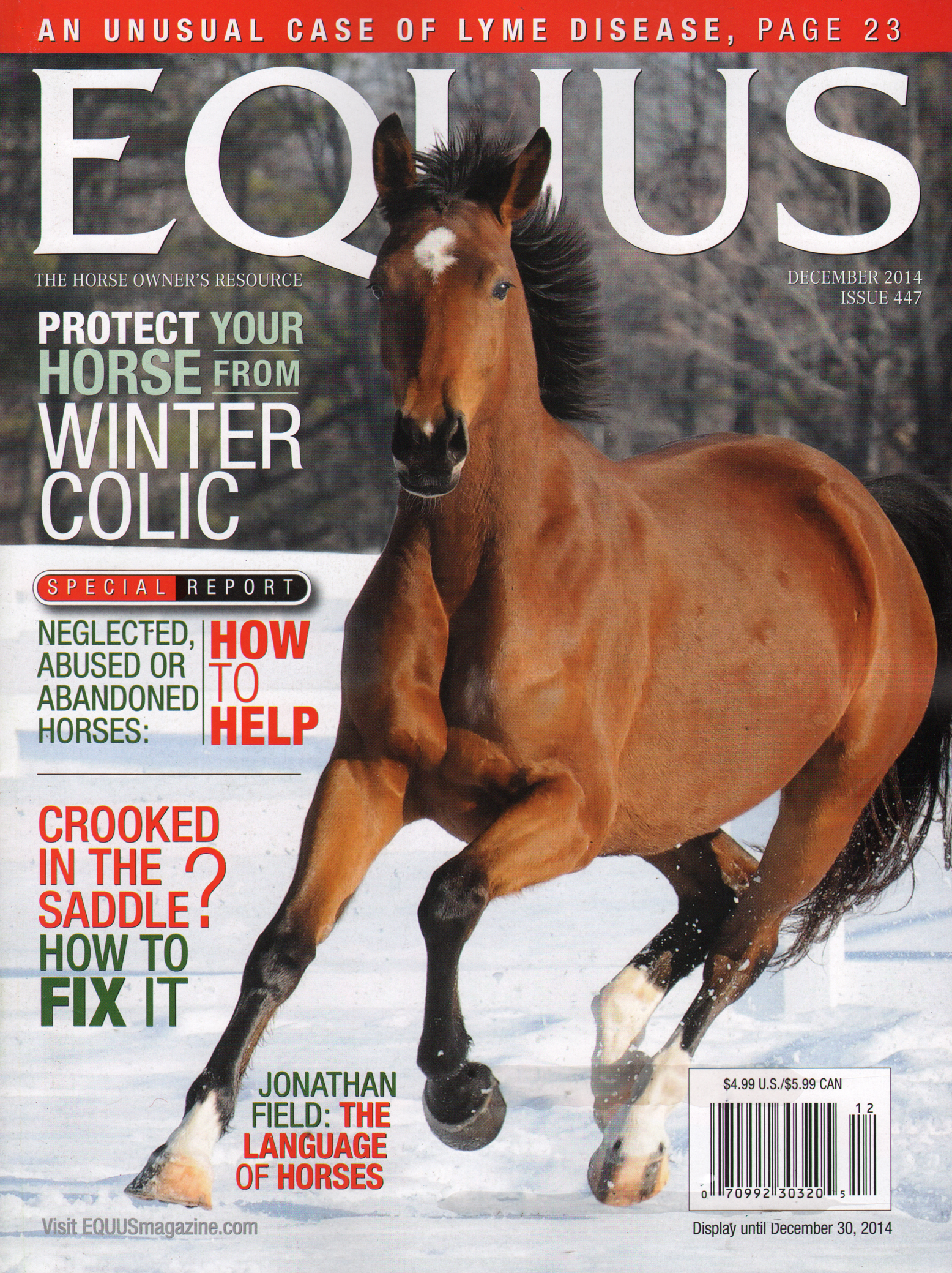 Equus December 01, 2014 Issue Cover