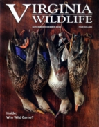 Virginia-Wildlife November 01, 2022 Issue Cover