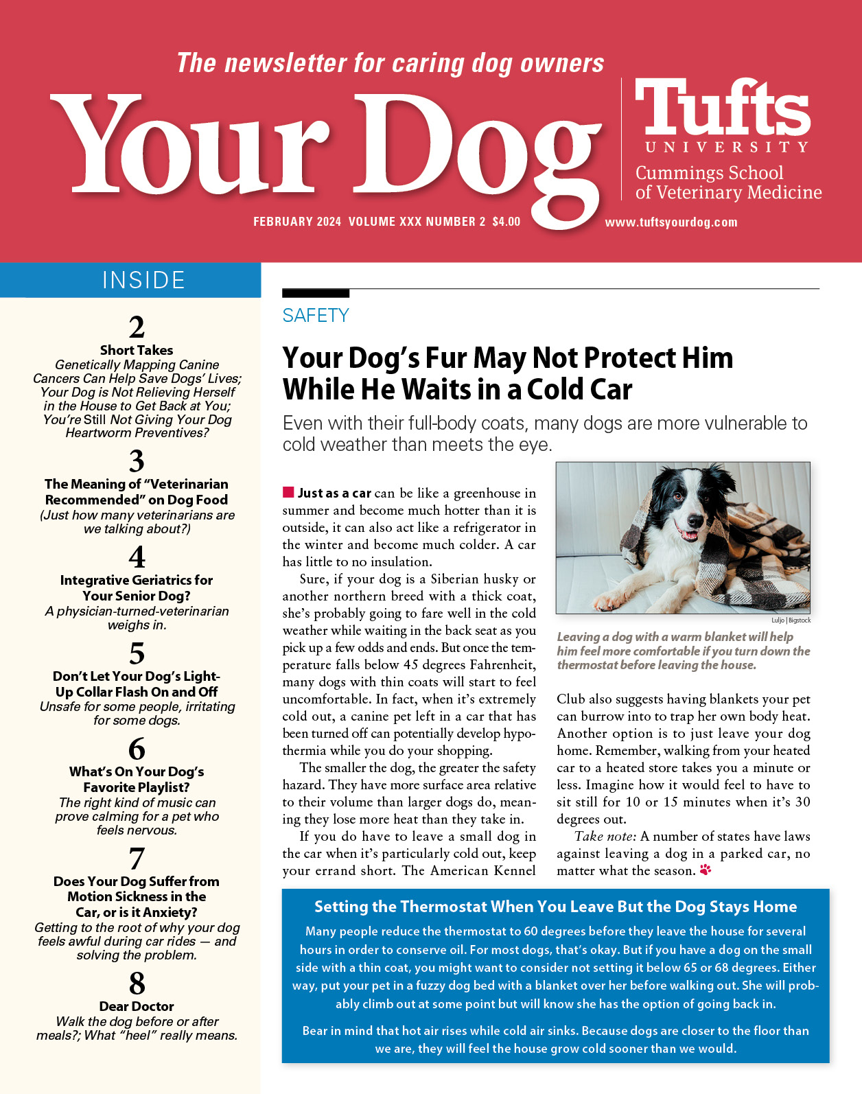 Your-Dog February 01, 2024 Issue Cover