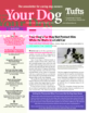Your-Dog February 01, 2024 Issue Cover