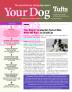 Your-Dog February 01, 2024 Issue Cover