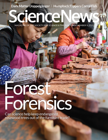 science-news November 09, 2019 Issue Cover