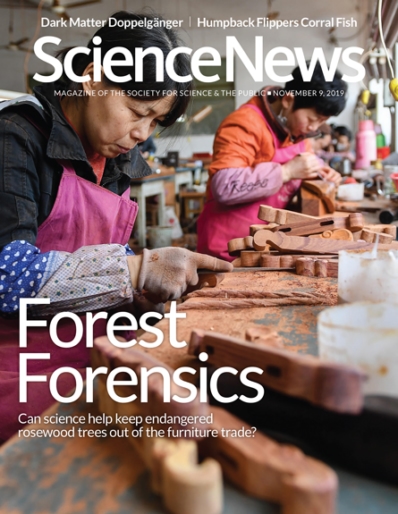 Science News November 09, 2019 Issue Cover