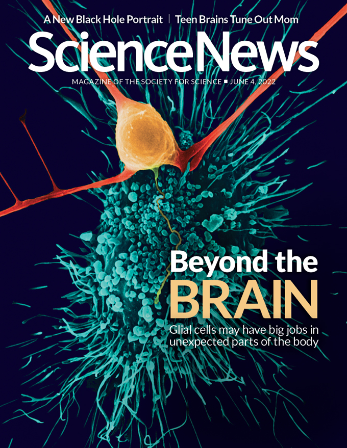 Science-News June 04, 2022 Issue Cover