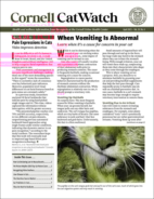 Catwatch April 01, 2025 Issue Cover