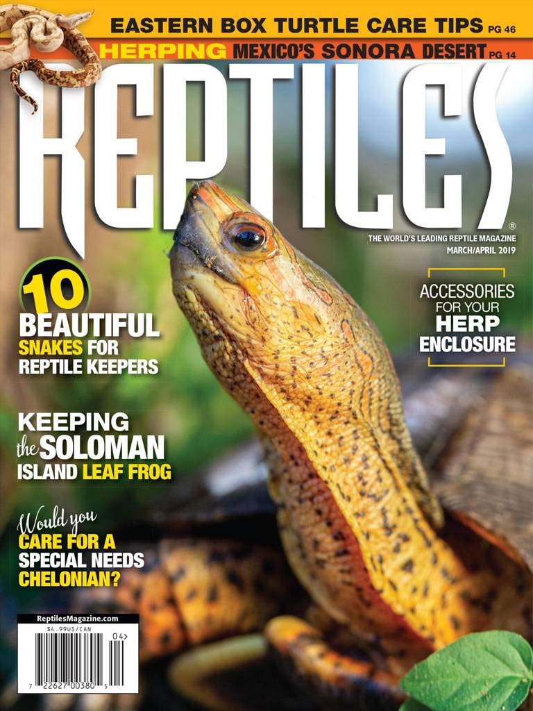Reptiles March 01, 2019 Issue Cover