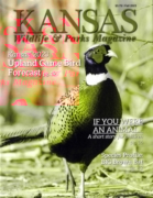 Kansas Wildlife & Parks September 01, 2023 Issue Cover