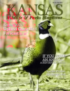 Kansas-Wildlife-and-Parks September 01, 2023 Issue Cover