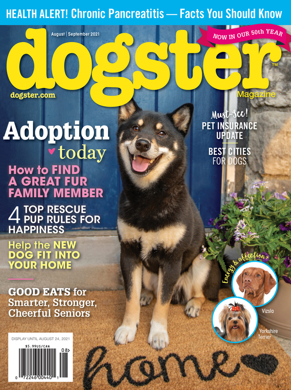 Dogster August 01, 2021 Issue Cover