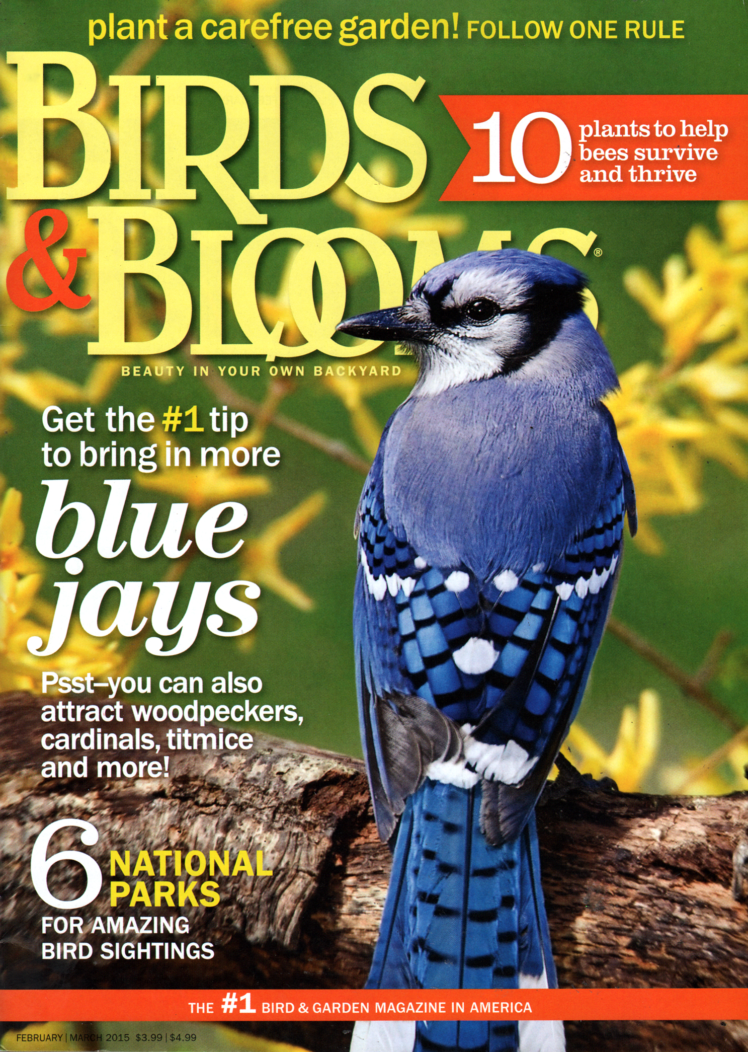 Birds-and-Blooms February 01, 2015 Issue Cover